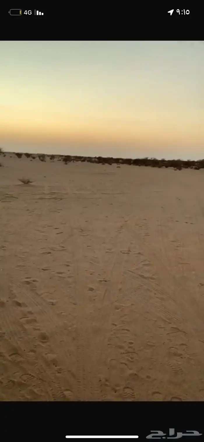 طليان ورخال هرافي ثلاجه ومناسبات 8