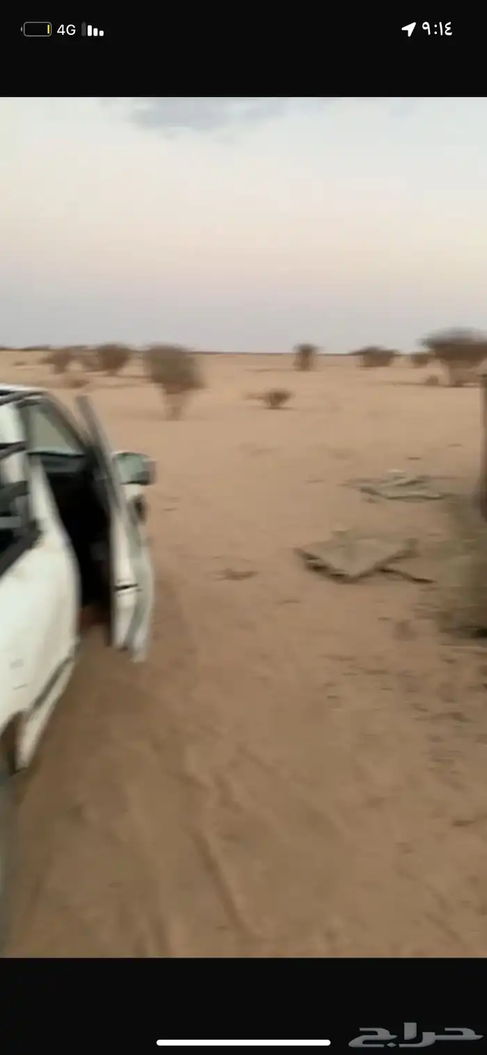 طليان ورخال هرافي ثلاجه ومناسبات 3