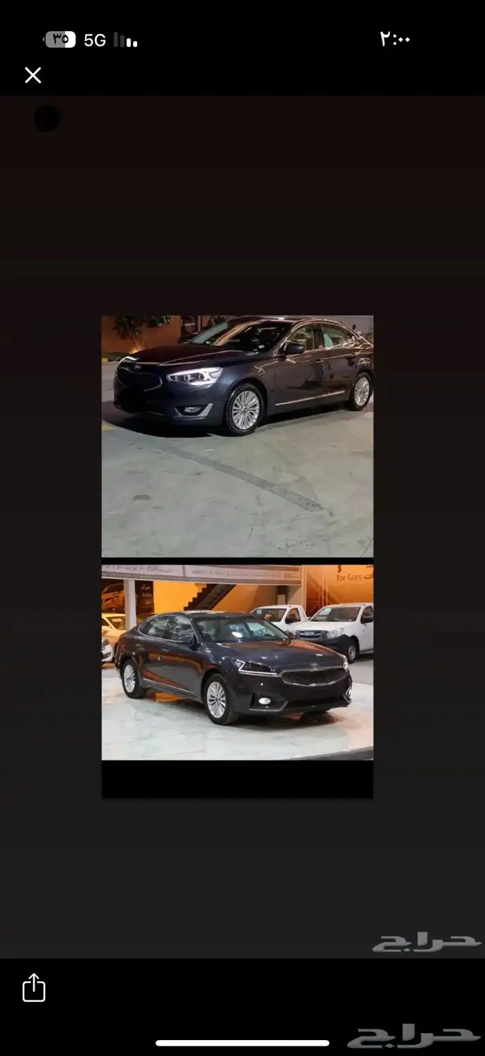 مططلوب كادينزا 0