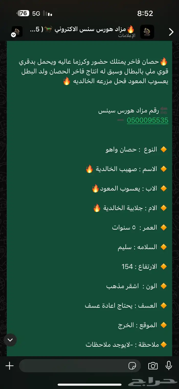 حصان واهو فاخر ويحمل دماء ابطل 3