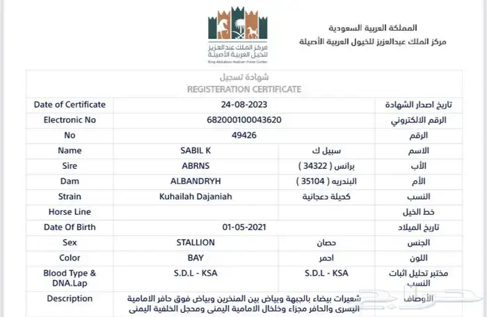 حصان سرعة ريس فرنسي ورق 1