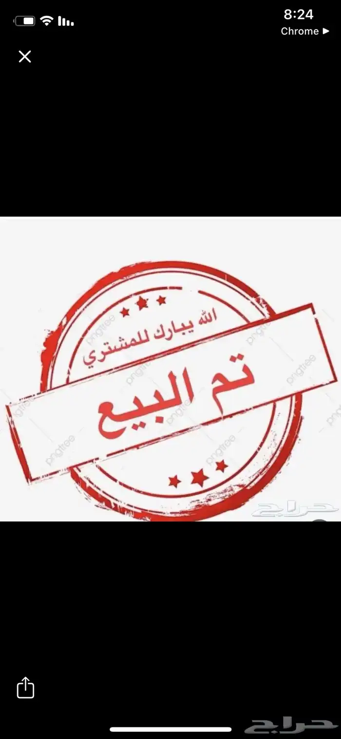 مشروع فحل بورقوت بيور دم صافي بورقت شرط 0