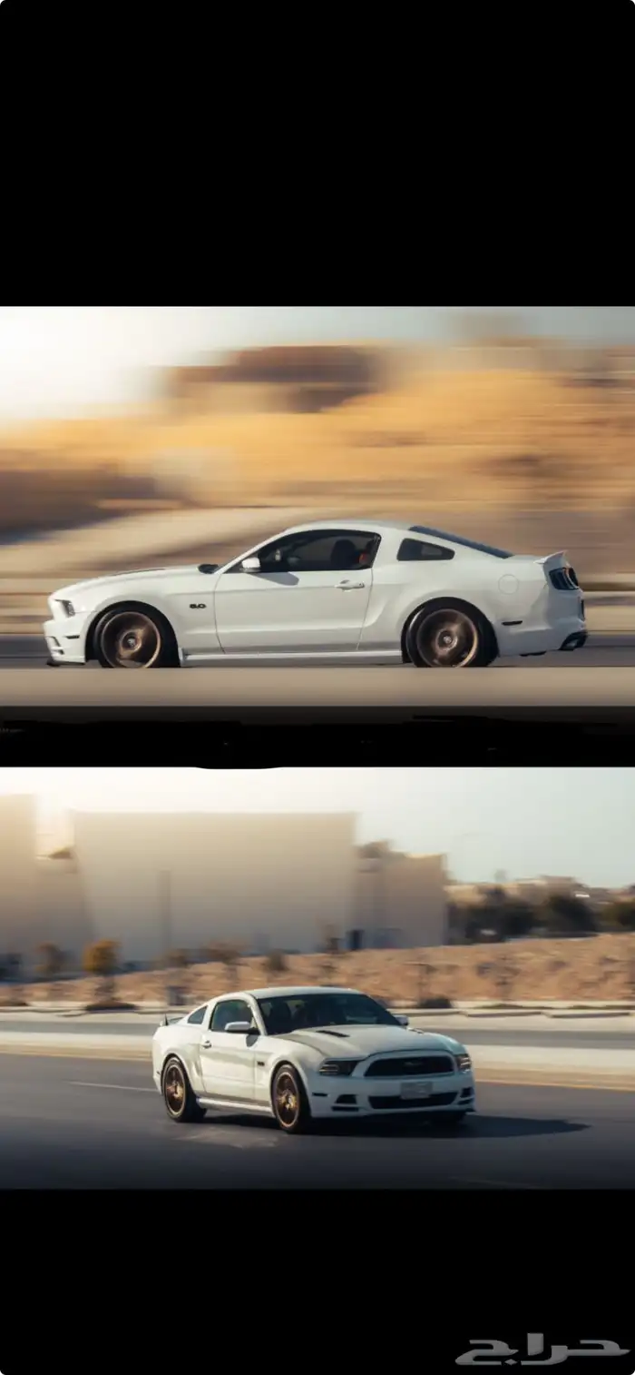 موستنج فل 2014 v8 ممشى 150km 0