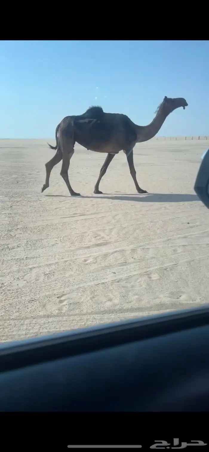 للتواصل 1