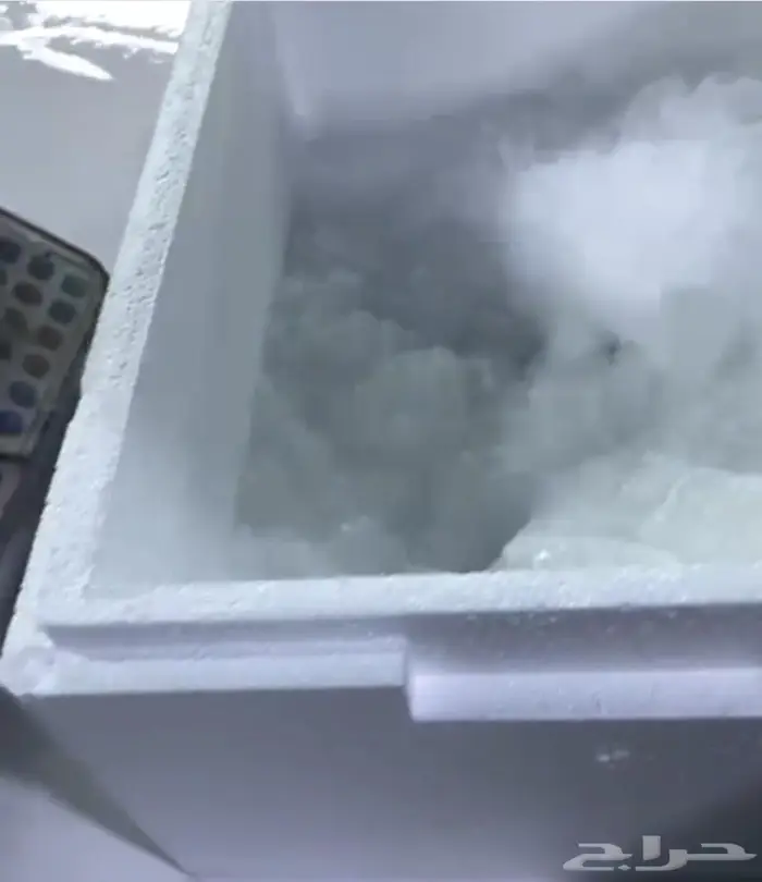 بإشراف بيطري  سمك جدة الطازج توصيل للمنازل 2