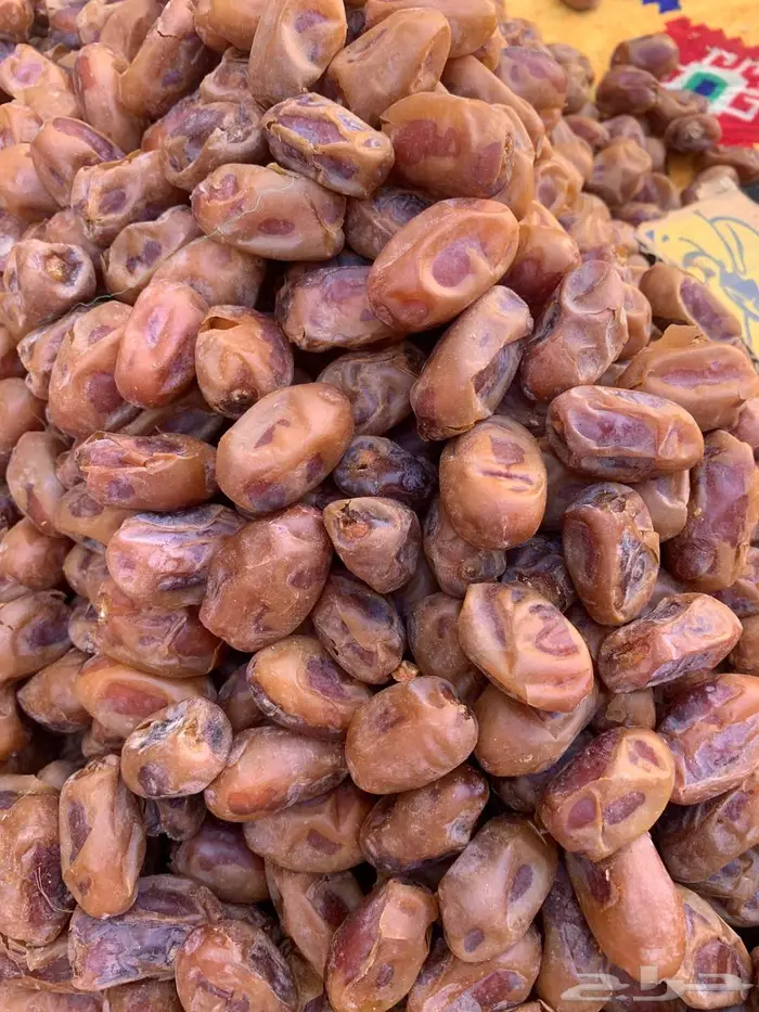 تمر خلاص الاحساء جديد 1447 حبة كبير وسط 1