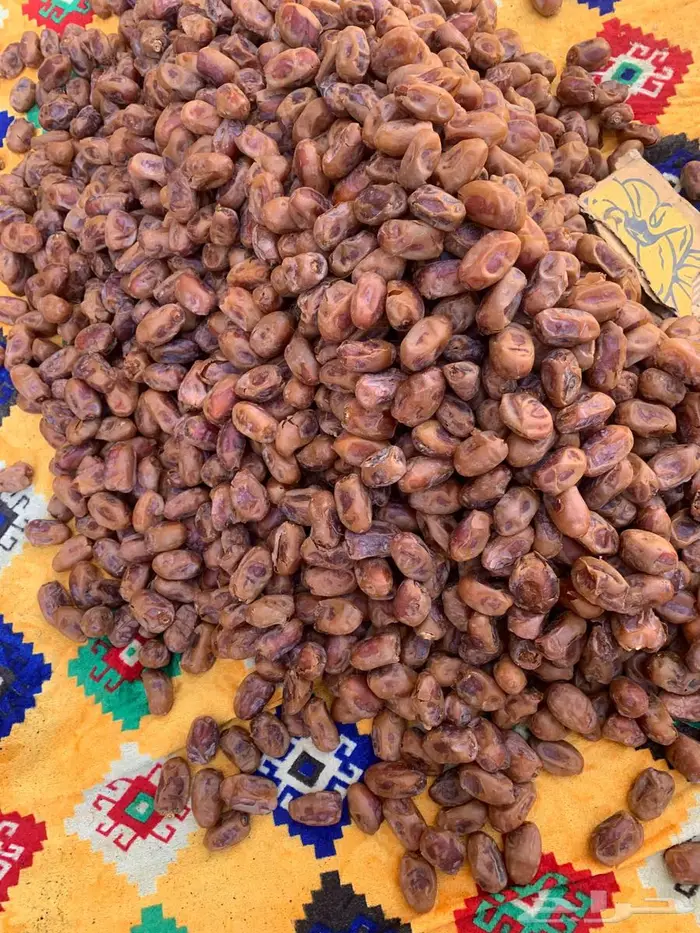 تمر خلاص الاحساء جديد 1447 حبة كبير وسط 2