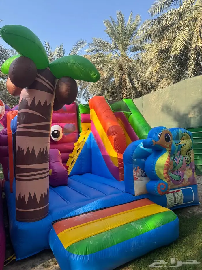 تاجير العاب في الاحساء 11