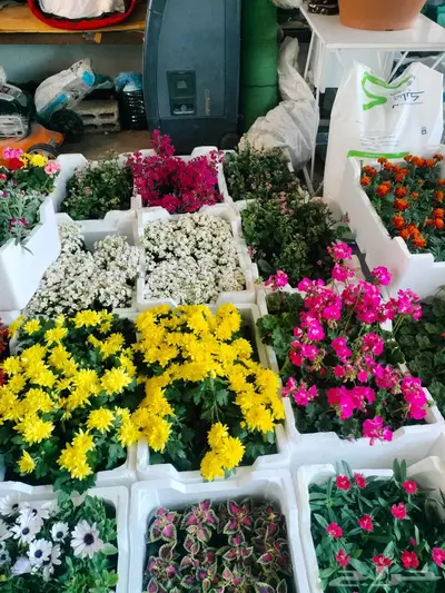 تنسيق حدائق وشبكات الري index