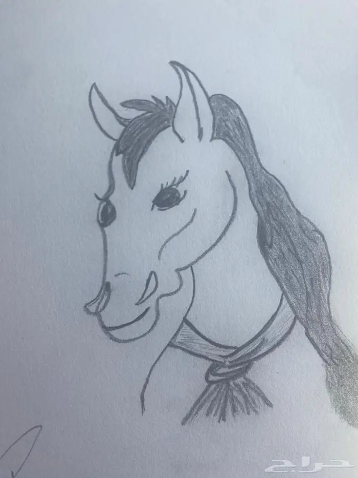 ابهفوف جامعه الملك فيصل 0