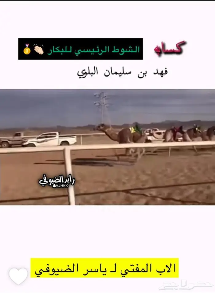 بكره جاهزه للعسف VIP سلالة 3