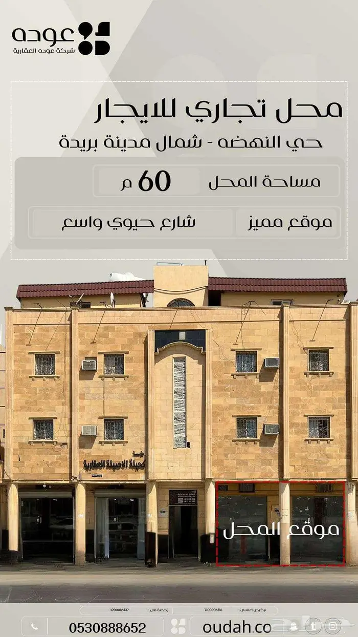 للايجار شقة عزاب ومحل بحى النهضة مقابل كلية التقنية 0