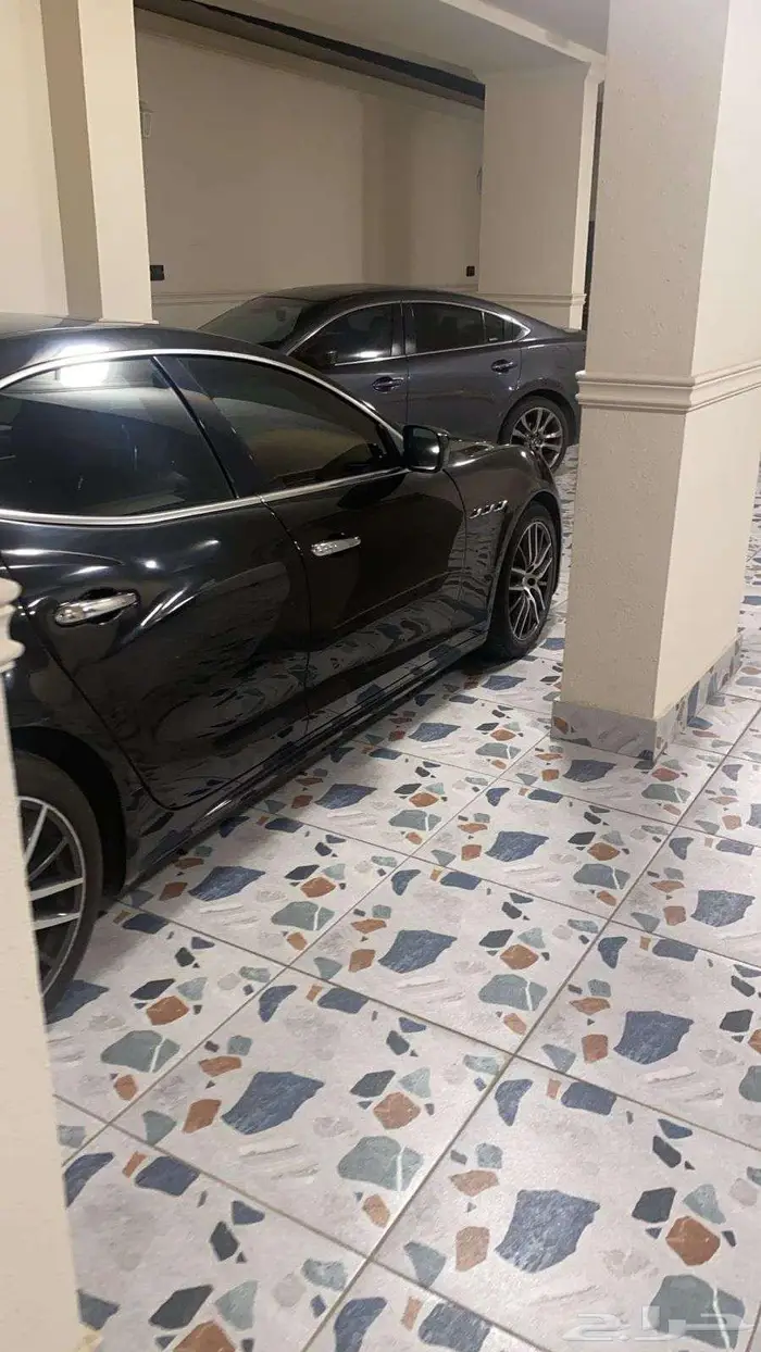 مزراتي جيبلي 2016 10