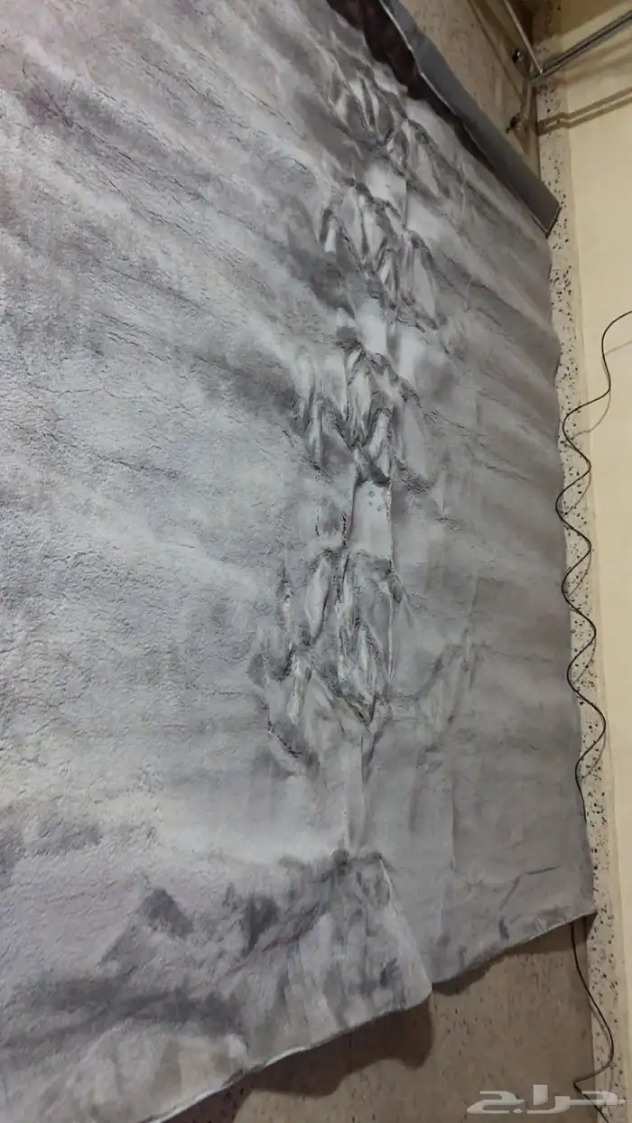 زولية نظيفة جدا 2