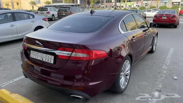 جاكوار رجاء تام لا يجيني الا الصامل 2