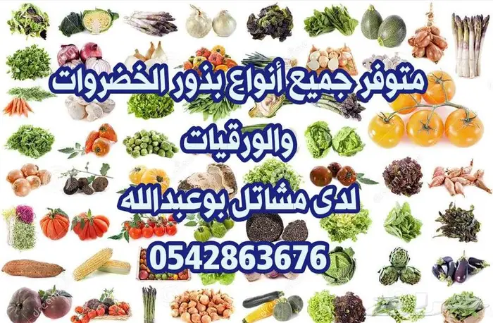 بذور ورقيات وخضروات مشتل ابوعبدالله . الحليله   الاحساء 0