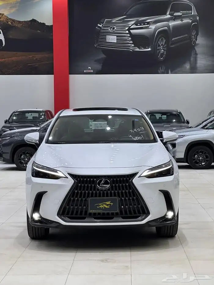 اصفار سعودي NX350AA2026 1