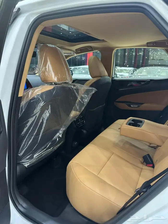 اصفار سعودي NX350AA2026 4