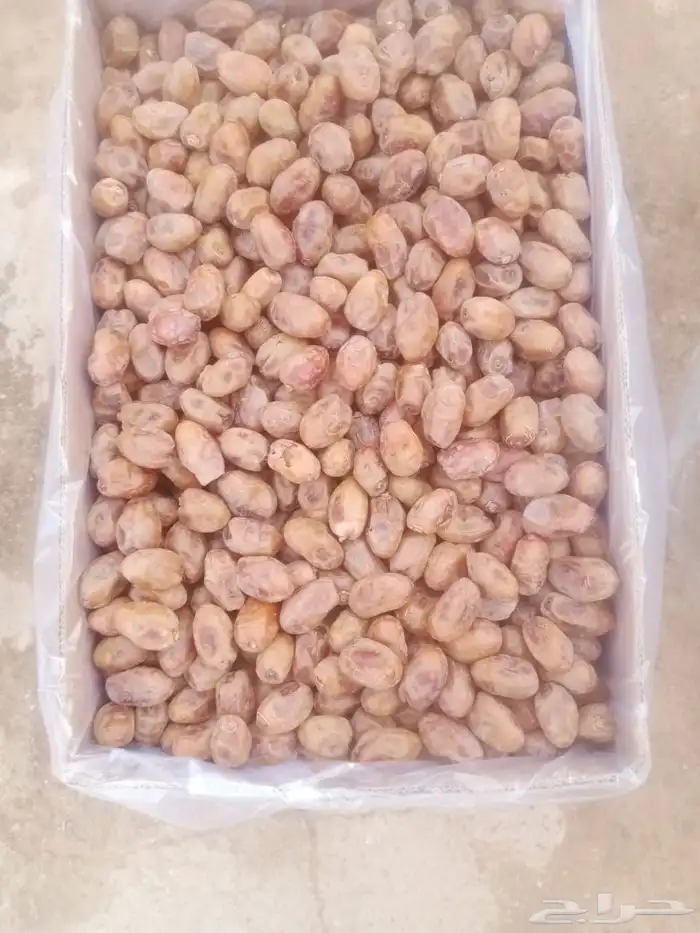 تمر خلاص القصيم فاخر 1
