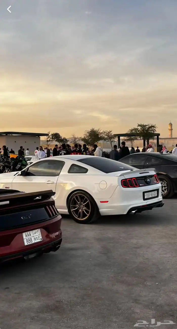 موستنج فل 2014 v8 ممشى 150km 2