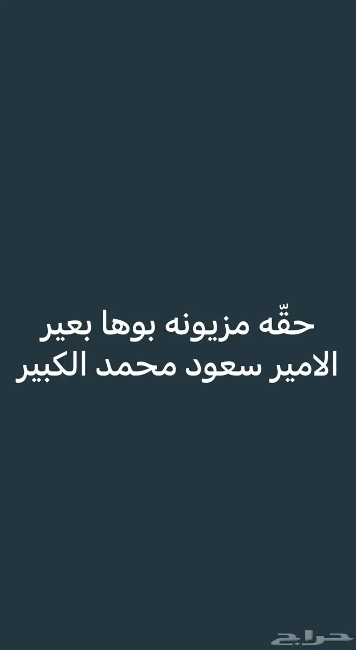 فرديه طيبه جدااا 8