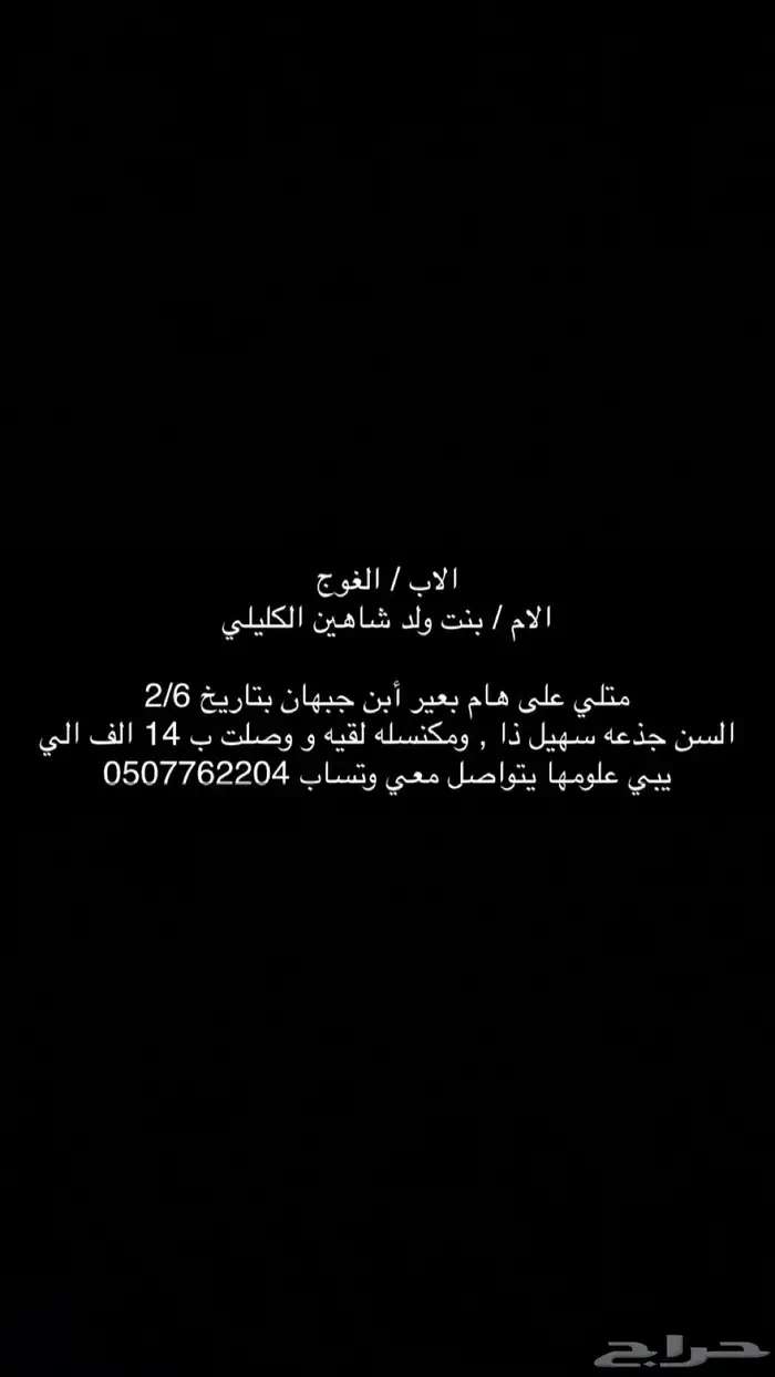 الهجن 0
