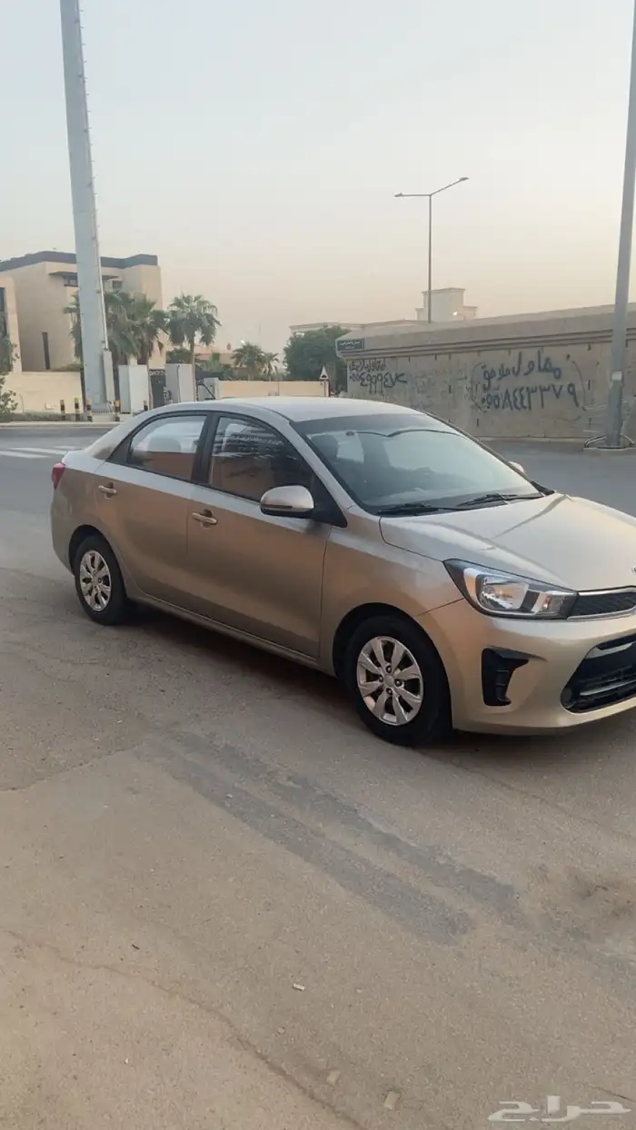 بيجاس للبيع 2021 1
