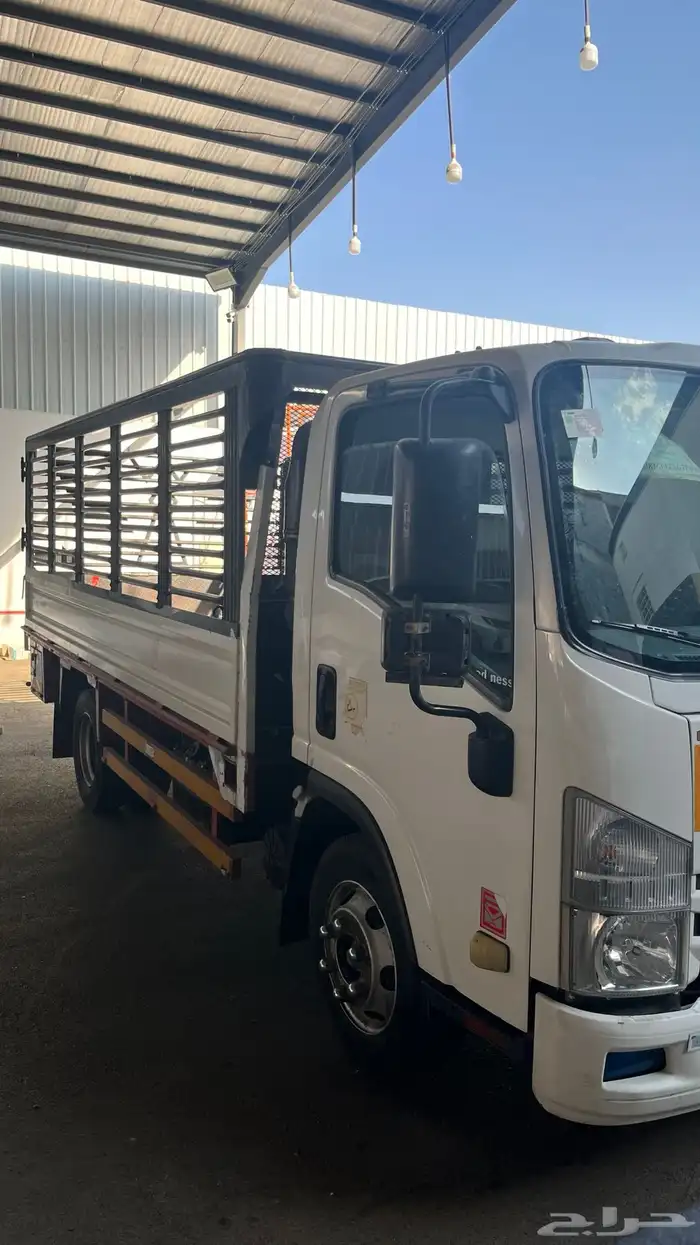 ايسوزو دينا 2020 3