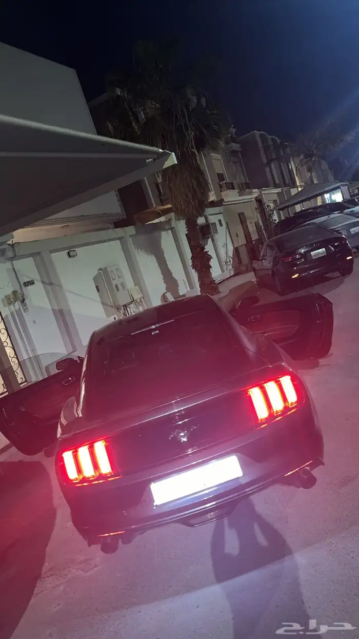 موستنق 2016 9