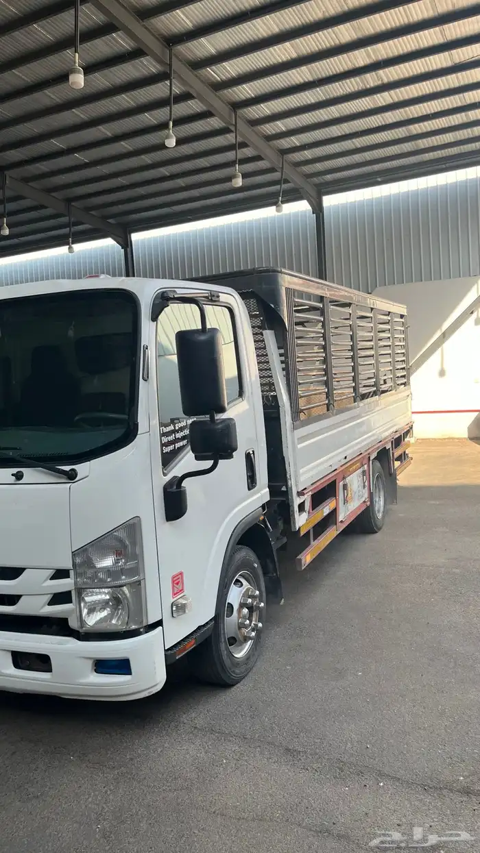 ايسوزو دينا 2020 2