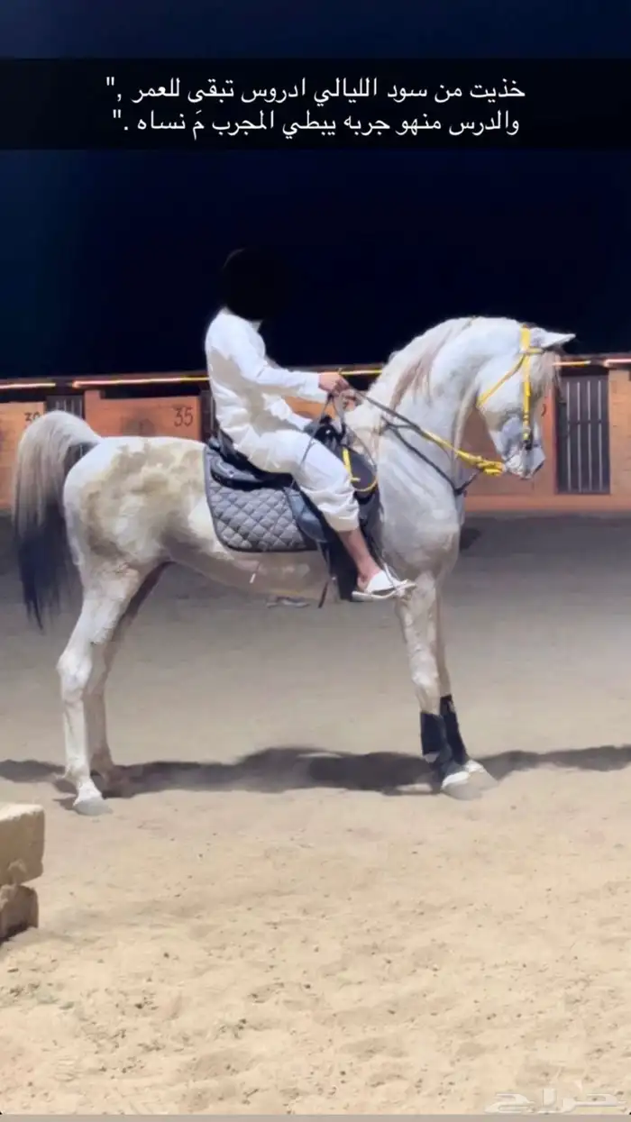 حصان رفيع وجبر 5