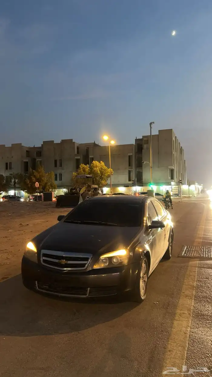كابرس 2008 4
