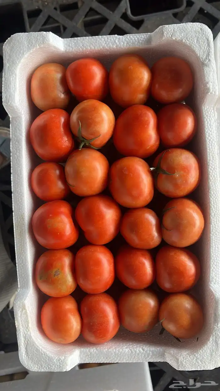 مندوب خضروات وفواكه من سوق الجملة العزيزية 3