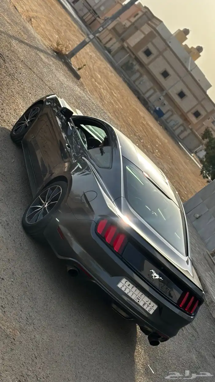 موستنق 2016 8