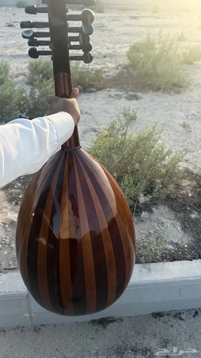 عود للبيع ع السوم 1