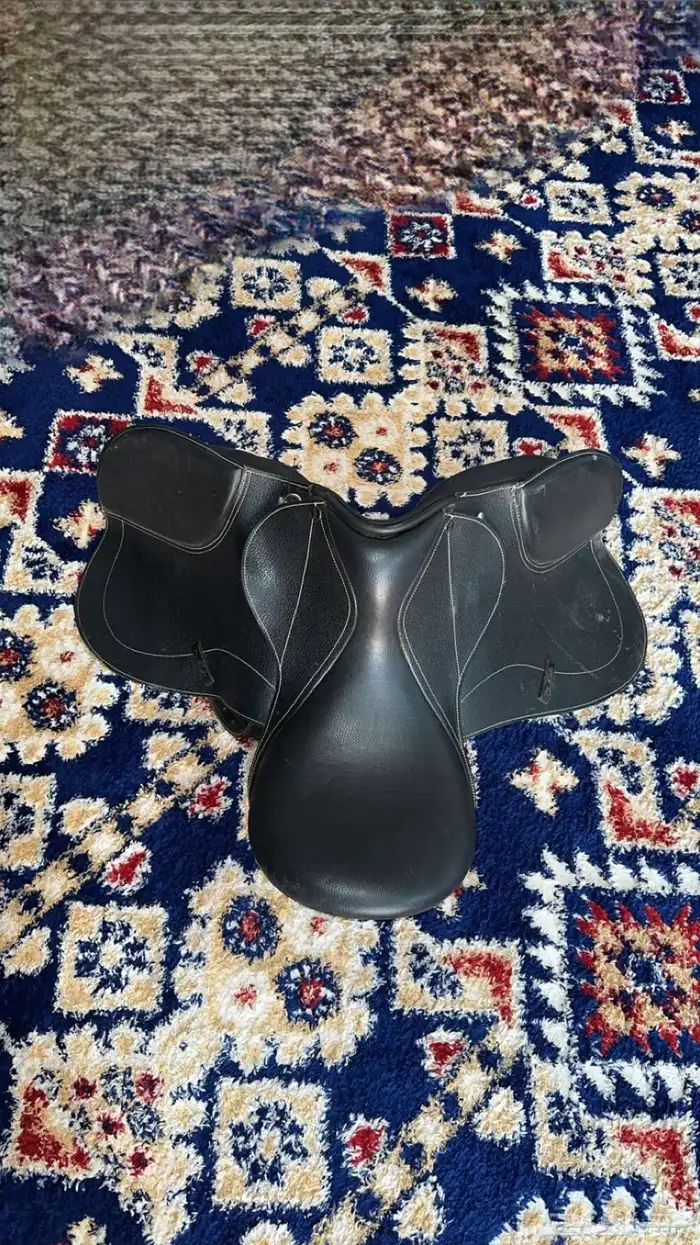 سرج نظيف 1