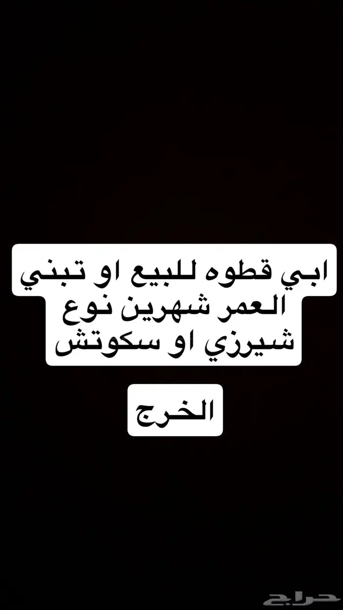 قطه 0