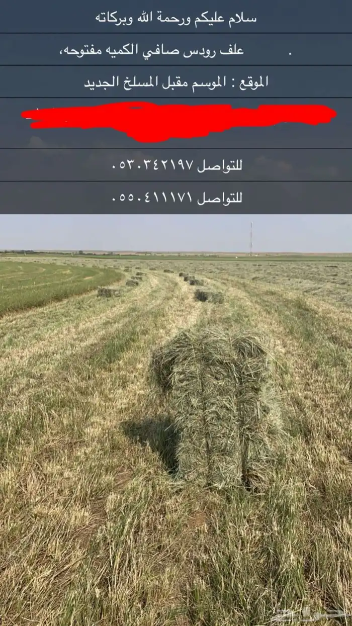علف  للغنم والبقر والإبل 0