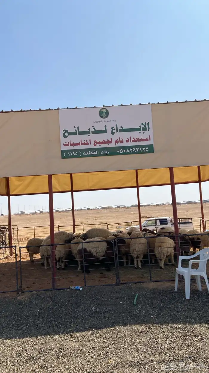 ذبايح تمايم فاخر 4