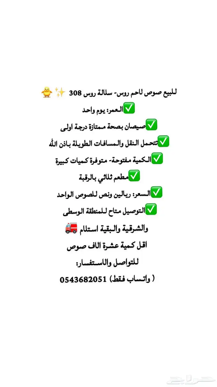 للبيع صوص لاحم روسي 2