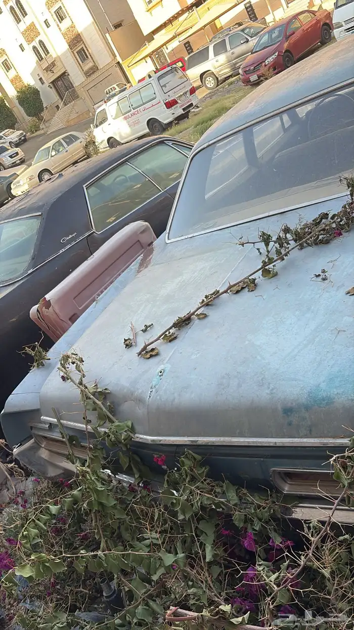 بونتياك 63 اثرية 4