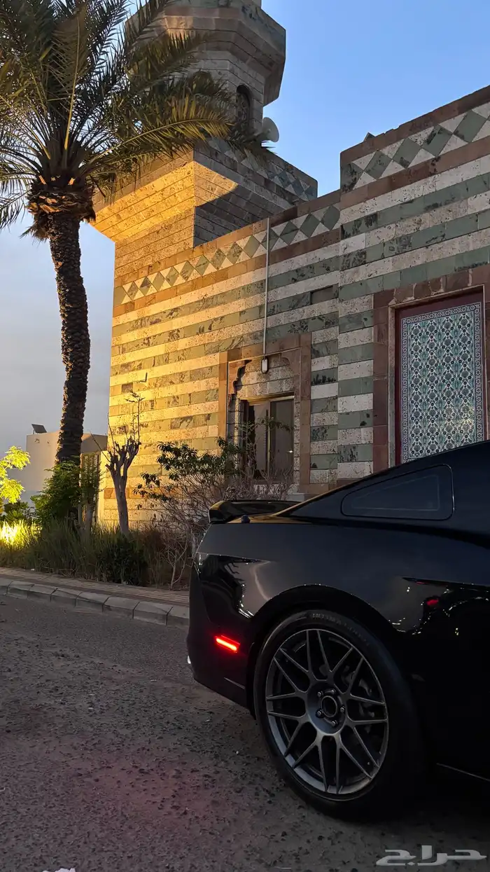 موستنج 5.0 2014 15