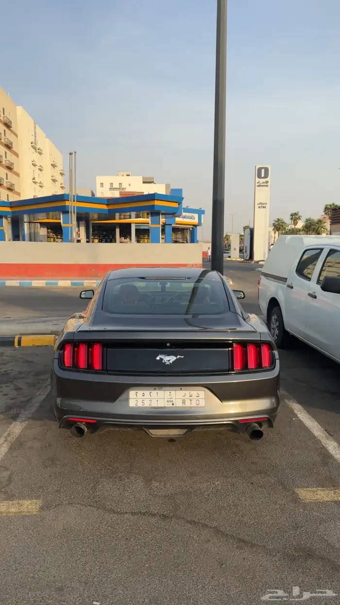 موستنق 2016 4