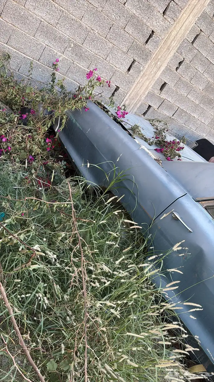 بونتياك 63 اثرية 2