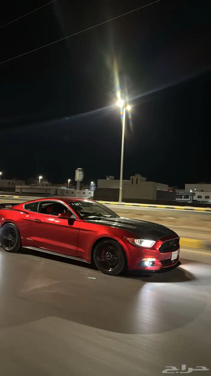 موستنق 2015 0