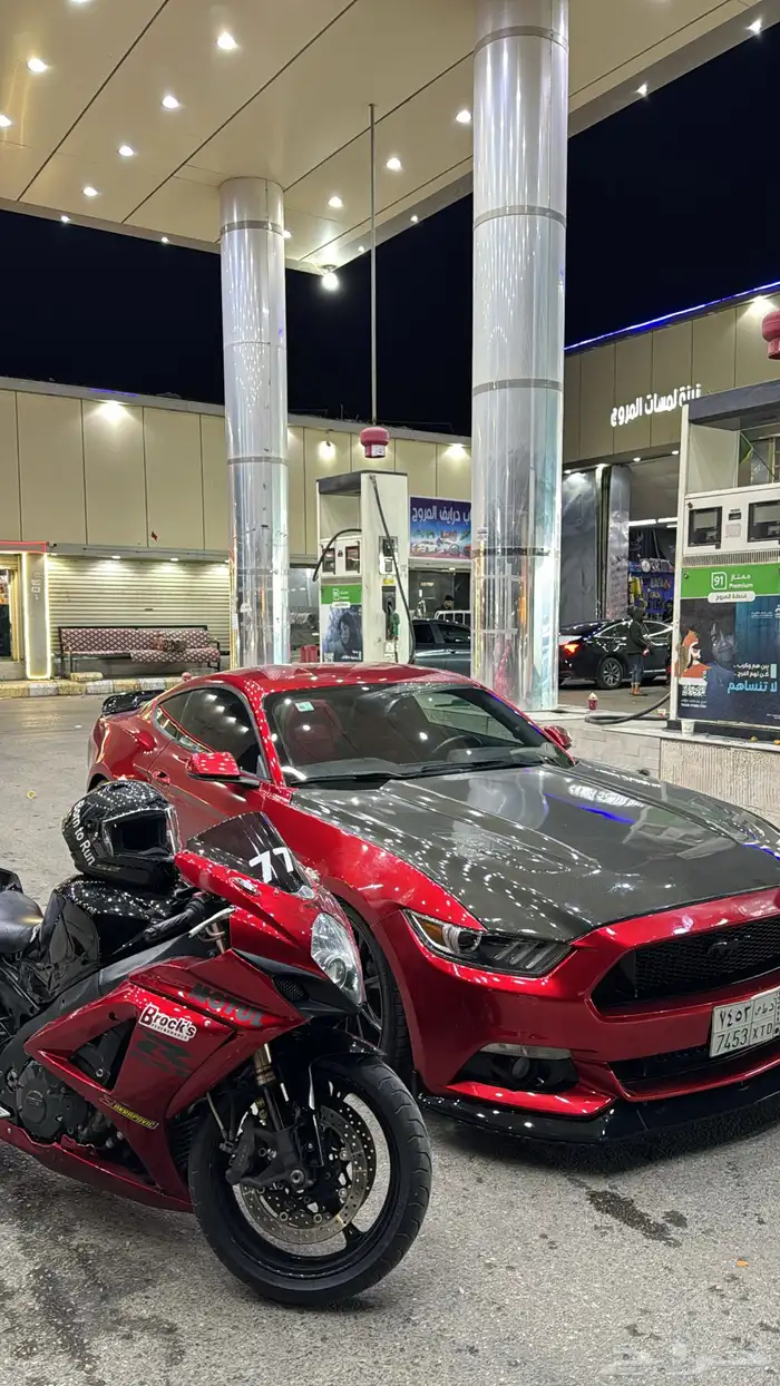 موستنق 2015 2
