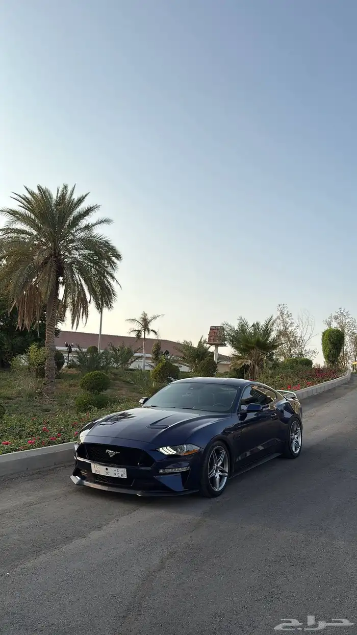 موستنج بيرفورمنس 2020 Mustang Performance ( تم البيع ) 3