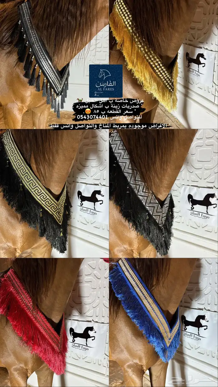عروض زينة للخيل 0