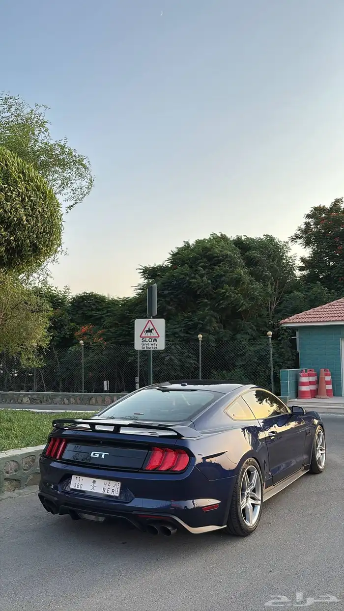 موستنج بيرفورمنس 2020 Mustang Performance ( تم البيع ) 0