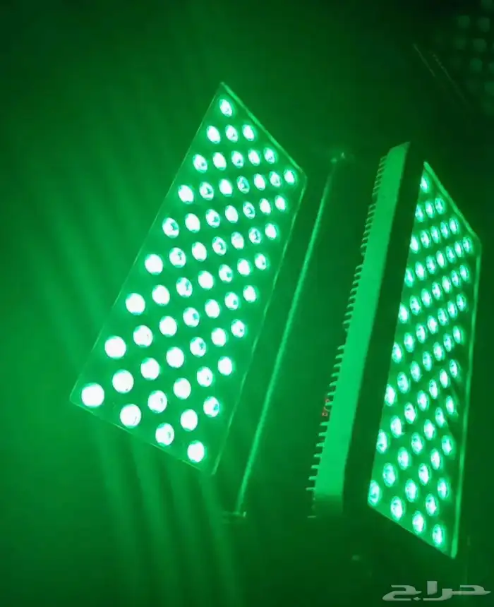 تنظيم معارض 6